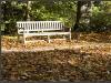 Autumn's carpet, Schwetzingen
